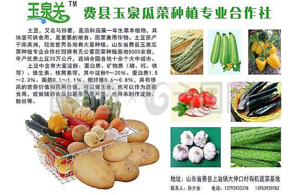 蔬菜產(chǎn)品宣傳彩頁(yè)圖片