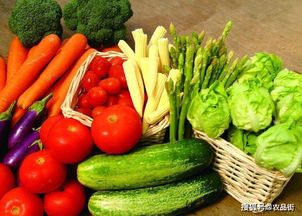 農(nóng)業(yè)社交電商 綠色食品博覽會(huì)中的農(nóng)產(chǎn)品銷售新篇章