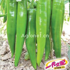 蔬菜與個人健康 如何善用蔬菜網產品庫打造均衡飲食